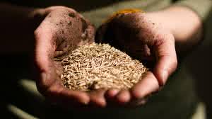 Finance Ministry reduces import duties to stimulate food supply
